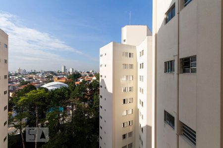 Vista de apartamento para alugar com 3 quartos, 67m² em Vila Mascote, São Paulo