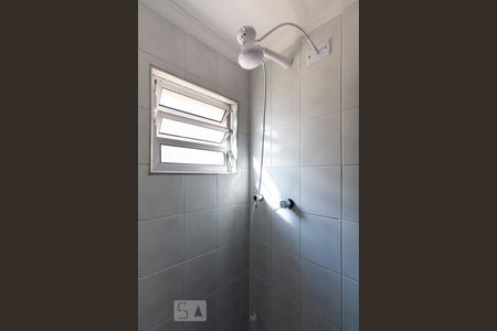 Banheiro social de apartamento para alugar com 3 quartos, 67m² em Vila Mascote, São Paulo