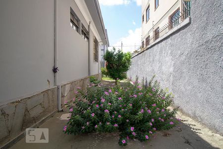 Casa à venda com 476m², 3 quartos e 2 vagas Casa à venda com 476m², 3 quartos e 2 vagasQuintal