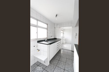 Apartamento para alugar com 40m², 2 quartos e sem vagaCozinha 