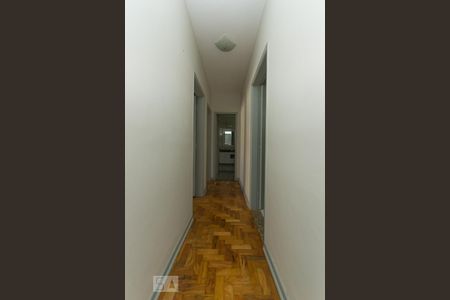 Corredor de apartamento para alugar com 2 quartos, 65m² em Vila Clementino, São Paulo