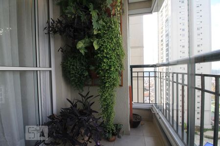 Varanda de apartamento para alugar com 2 quartos, 65m² em Vila Suzana, São Paulo