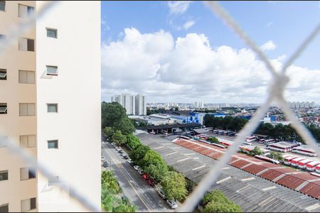 Apartamento à venda com 57m², 2 quartos e 1 vaga Apartamento à venda com 57m², 2 quartos e 1 vagaVista