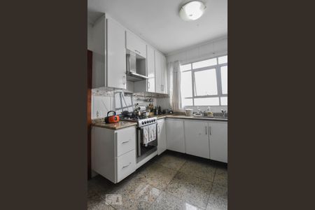 Apartamento à venda com 340m², 4 quartos e 2 vagasCozinha