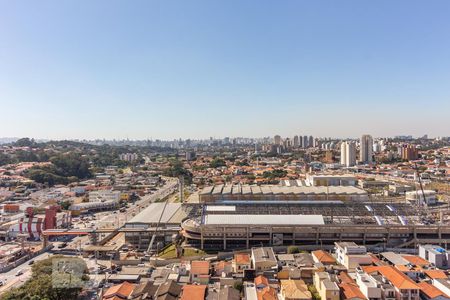 Apartamento para alugar com 50m², 2 quartos e 1 vagaVista da Área de Serviço