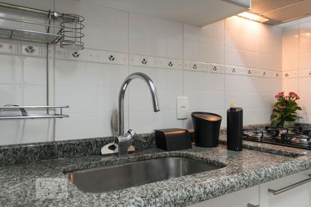 Casa de condomínio à venda com 167m², 3 quartos e 2 vagas1o. Andar - Cozinha (Pia)