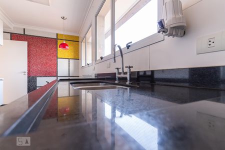 Apartamento para alugar com 222m², 3 quartos e 4 vagasCozinha