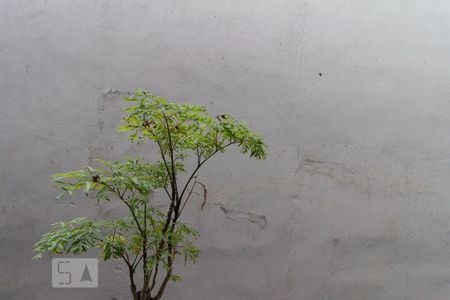 Vista Sala de apartamento para alugar com 2 quartos, 90m² em Centro, Curitiba