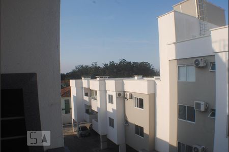 Vista da Sacada de apartamento para alugar com 2 quartos, 55m² em Canasvieiras, Florianópolis