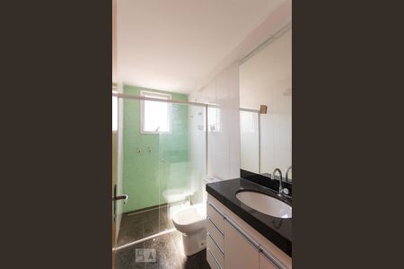 Banheiro Social de apartamento para alugar com 2 quartos, 85m² em Castelo, Belo Horizonte