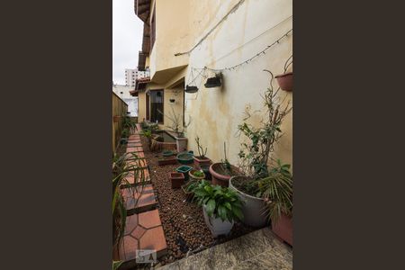 Casa à venda com 545m², 5 quartos e 6 vagasCorredor Lateral