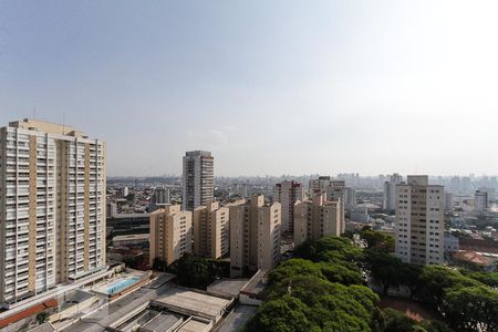 Apartamento para alugar com 335m², 4 quartos e 3 vagasvista terraço