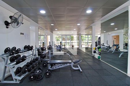 Apartamento para alugar com 69m², 2 quartos e 2 vagas Apartamento para alugar com 69m², 2 quartos e 2 vagasÁrea comum - Academia