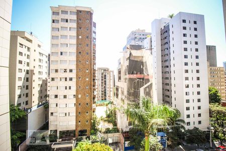 Vista Varanda Sala  de apartamento para alugar com 4 quartos, 236m² em Santo Agostinho, Belo Horizonte