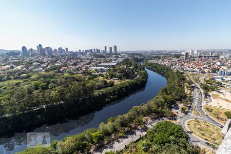Vista do Quarto 1 de apartamento para alugar com 2 quartos, 64m² em Jardim Tupanci, Barueri