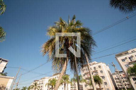 Apartamento à venda com 57m², 3 quartos e 1 vaga Apartamento à venda com 57m², 3 quartos e 1 vagapátio