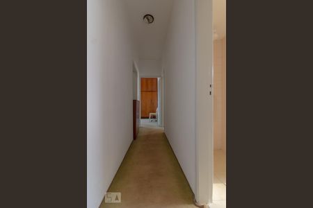 Corredor de apartamento para alugar com 3 quartos, 95m² em Cambuci, São Paulo