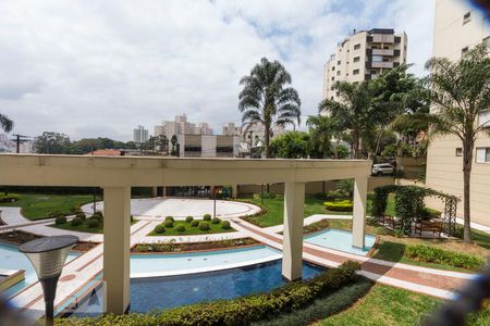 Vista de apartamento para alugar com 3 quartos, 61m² em Vila Paulista, São Paulo