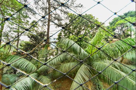Vista do Quarto 1 de apartamento para alugar com 2 quartos, 54m² em Demarchi, São Bernardo do Campo