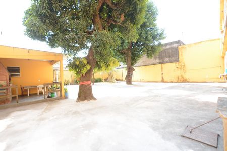 Apartamento para alugar com 700m², 3 quartos e 2 vagasQuintal