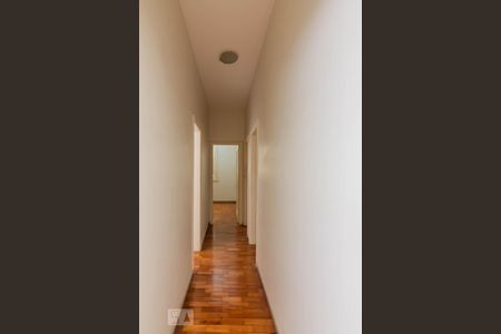 Corredor de apartamento para alugar com 3 quartos, 100m² em Funcionários, Belo Horizonte