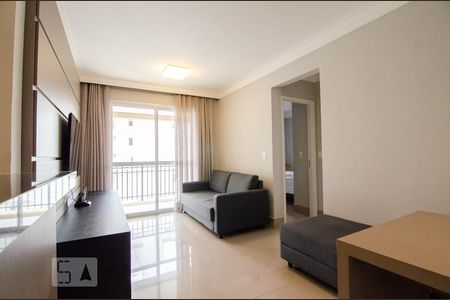 Sala de apartamento para alugar com 2 quartos, 58m² em Cambuí, Campinas