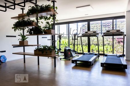 Fitness de apartamento para alugar com 1 quarto, 41m² em São João, Porto Alegre