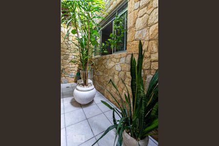 Jardim de Inverno  de casa à venda com 2 quartos, 167m² em Vila Caju, São Paulo