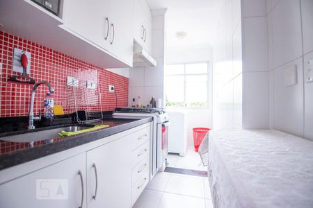 cozinha de apartamento para alugar com 2 quartos, 50m² em Jardim dos Oliveiras, Campinas