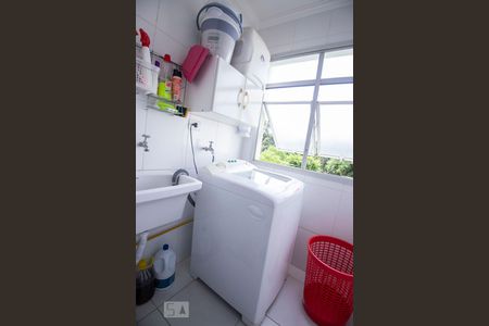 lavanderia de apartamento para alugar com 2 quartos, 50m² em Jardim dos Oliveiras, Campinas