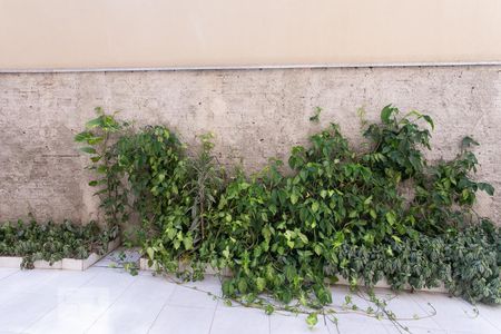 Apartamento à venda com 69m², 3 quartos e sem vagaVista do Quarto 3