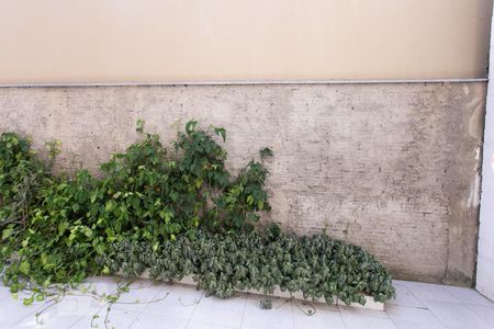 Apartamento à venda com 69m², 3 quartos e sem vagaVista do Quarto 1