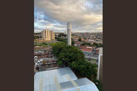 Vista do Quarto de apartamento à venda com 2 quartos, 44m² em Padroeira, Osasco