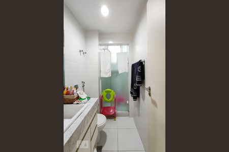Banheiro de apartamento para alugar com 3 quartos, 95m² em Laranjeiras, Rio de Janeiro