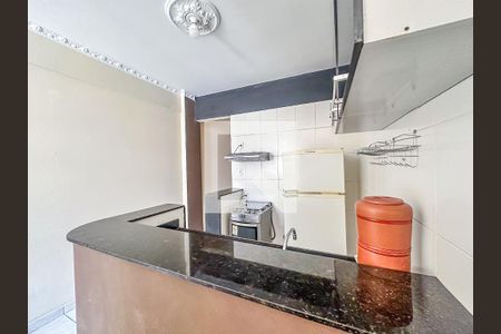Sala/Cozinha de kitnet/studio para alugar com 1 quarto, 30m² em Glória, Rio de Janeiro