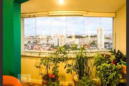 Apartamento à venda com 2 quartos, 69m² em Vila Moinho Velho, São Paulo