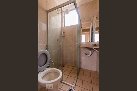 Banheiro de apartamento para alugar com 2 quartos, 54m² em Jardim Atlântico, Belo Horizonte