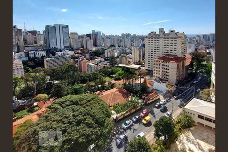 Vista de apartamento para alugar com 1 quarto, 35m² em Morro dos Ingleses, São Paulo