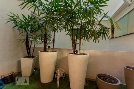 Apartamento à venda com 230m², 4 quartos e 2 vagas Apartamento à venda com 230m², 4 quartos e 2 vagasJardim de Inverno