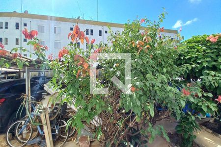 Vista Quarto 1 de apartamento para alugar com 3 quartos, 56m² em Vila Padre Manoel de Nóbrega, Campinas