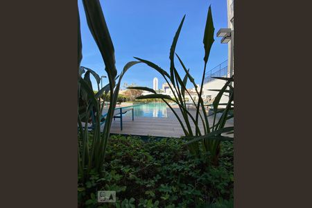 Área comum - Piscina de apartamento para alugar com 1 quarto, 43m² em Barra Funda, São Paulo