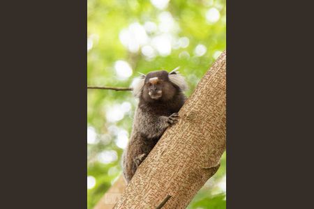 Apartamento à venda com 48m², 2 quartos e sem vaga Apartamento à venda com 48m², 2 quartos e sem vagaÁrea comum