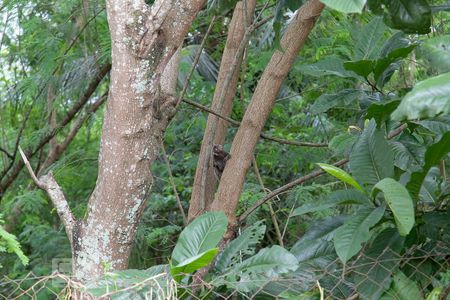 Apartamento à venda com 48m², 2 quartos e sem vaga Apartamento à venda com 48m², 2 quartos e sem vagaÁrea comum