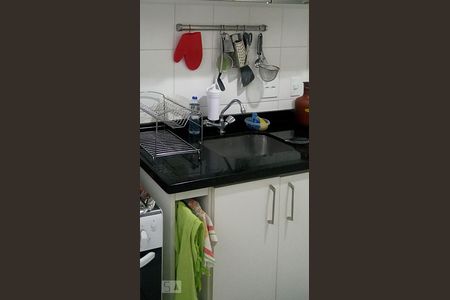 Cozinha - Torneira de apartamento para alugar com 2 quartos, 50m² em Jardim Santa Cruz (sacomã), São Paulo