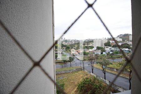 Vista de apartamento para alugar com 2 quartos, 50m² em Castelo, Belo Horizonte