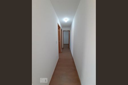 Corredor de apartamento para alugar com 2 quartos, 43m² em Jardim Iris, São Paulo