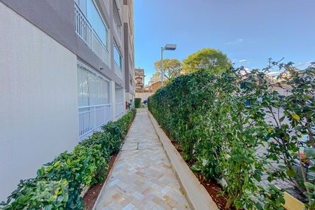 Apartamento para alugar com 36m², 1 quarto e sem vagaArea Comun