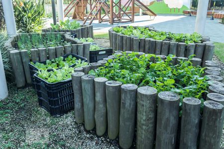 Apartamento para alugar com 70m², 2 quartos e 1 vagaÁrea Comum