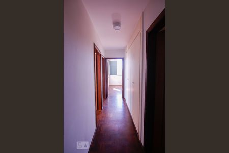 Apartamento para alugar com 170m², 3 quartos e 2 vagas Apartamento para alugar com 170m², 3 quartos e 2 vagasCorredor