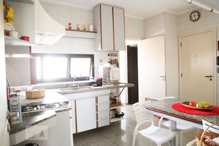 Apartamento à venda com 478m², 4 quartos e 3 vagas Apartamento à venda com 478m², 4 quartos e 3 vagasCozinha